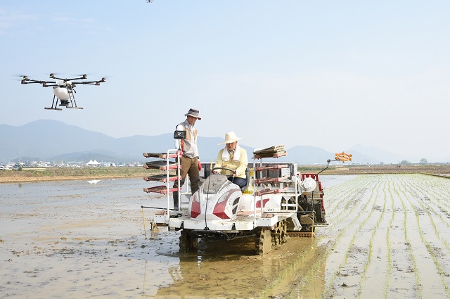 ▲ 경주시가 경상북도 2019년 식량적정생산 시책평가에서 2년 연속 우수기관으로 선정됐다. 사진은 주낙영 경주시장이 이양기에 앉아 모내기를 돕고 있는 장면.ⓒ경주시
