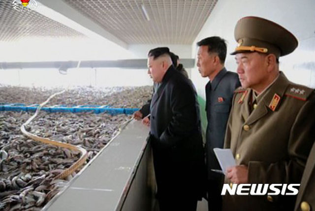 ▲ 2016년 11월 북한군이 운영하는 수산물 사업소를 찾은 김정은. 북한의 수산물 가공시설은 모두 북한군 또는 노동당 소유다. ⓒ뉴시스. 무단전재 및 재배포 금지.