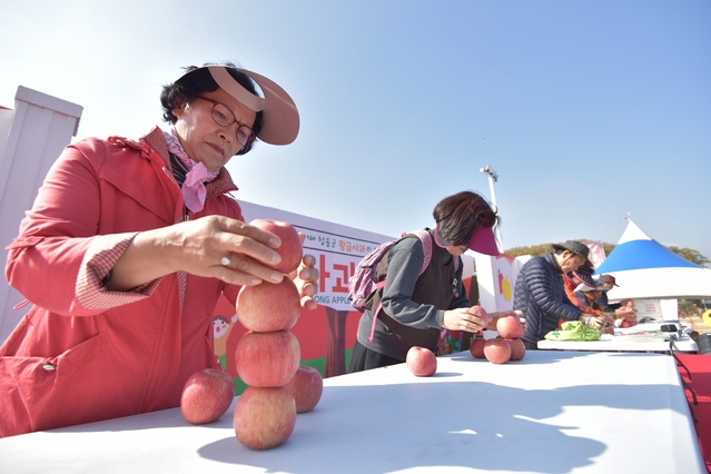 ▲ 청송사과축제가 문화체육관광부 지정 대한민국 대표축제로 선정됐다. 사진은 사과높이쌓기 장면.ⓒ청송군
