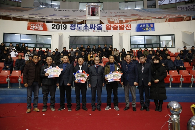 ▲ 청도공영사업공사는 지난 29일 전국 최고 싸움소를 가리는 ‘2019 청도소싸움 왕중왕전’을 성황리에 열었다.ⓒ청도군