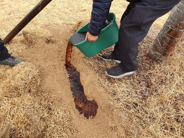 ▲ 포항시는 아이스팩을 생육불량 수목의 생육개선용으로 사용한다.ⓒ포항시