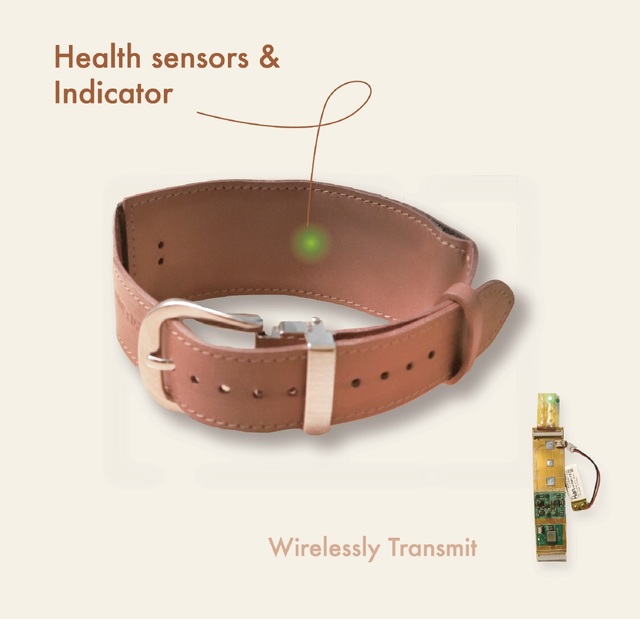 ▲ 반려동물 교감형 스마트 목걸이.ⓒDGIST