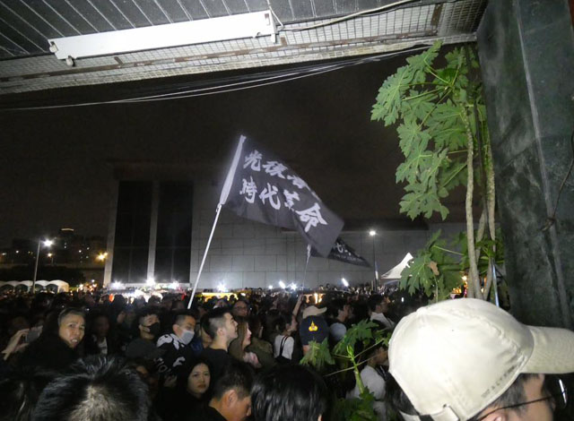 ▲ 선거 당일 밤 '광복홍콩 시대혁명' 깃발을 들고 축하집회에 참가한 대만 거주 홍콩시민 ⓒ허동혁