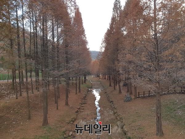 ▲ 미동산수목원.ⓒ박근주 기자