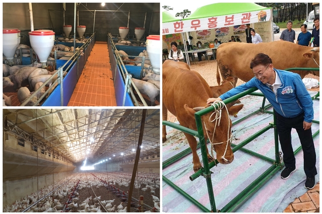 ▲ 경북도는 지속 가능한 친환경 축산업과 ICT·IOT를 활용한 스마트 축산 등 4차 산업혁명 시대의 최신 기술을 활용한 미래형 축산모델을 확산해 나간다고 14일 밝혔다.ⓒ경북도