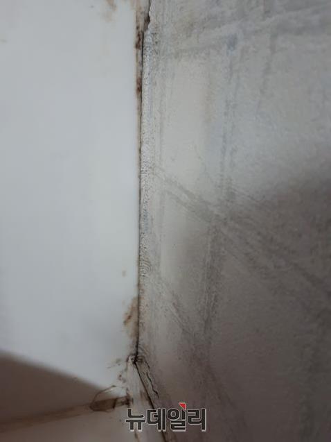 ▲ GS건설이 지은 세종시 한 아파트에서 누수피해로 곰팡이가 피어 있는 모습.ⓒ김동식 기자