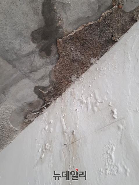 ▲ 지하주차장 천장에 빗물이 스며들어 곰팡이가 핀 모습.ⓒ김동식 기자