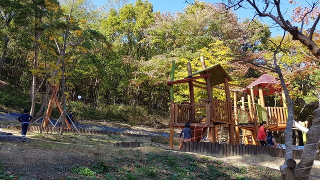 ▲ 가야산역사신화공원에서 아름다운 겨울 산을 만나보고, 신나고 재미있는 숲속놀이터를 지나 가야산야생화식물원에 가면 아름다운 야생화와 따뜻한 꽃 차 한잔이 반갑게 맞이해 준다.
ⓒ성주군