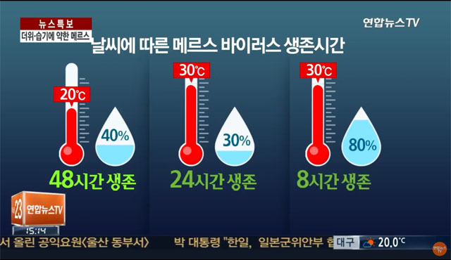 ▲ 4년전 메르스 사태 당시 장마가 시작되면서 환자 발생이 크게 줄어든 바 있다. ⓒ2015년 6월 12일 연합뉴스TV 보도 캡쳐.