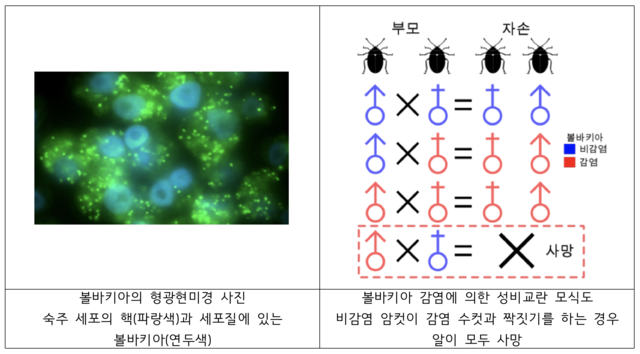 ▲ ⓒ국립생태원