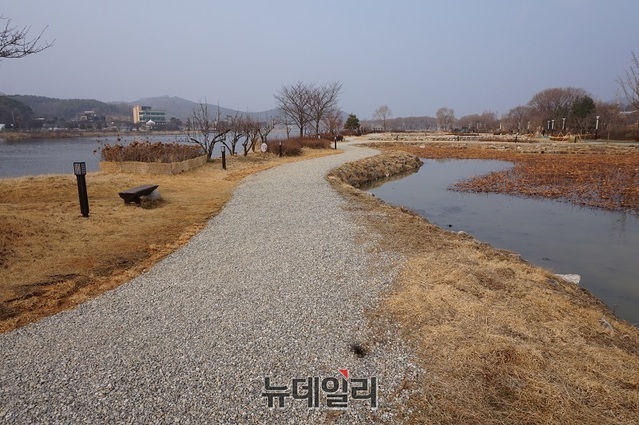 ▲ 신정호에 설치된 발바닥을 자극시켜주는 자갈길.ⓒ김정원 기자