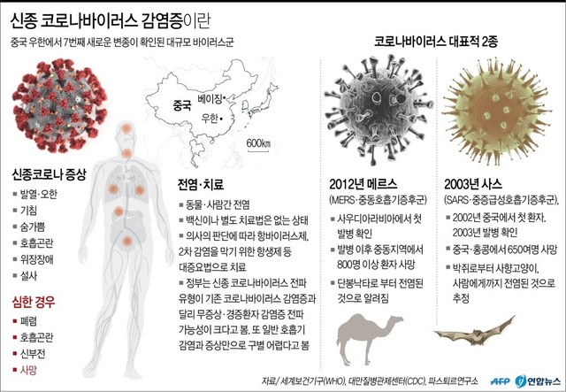 ▲ 정부가 신종 코로나바이러스 무증상 입국자와 경증환자의 전파 가능성을 확인하고 바이러스 전파 차단에 집중하기로 했다.ⓒ연합뉴스