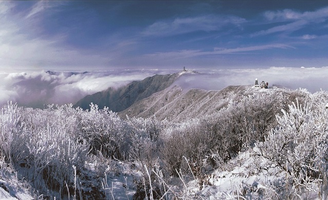 ▲ 5일 충북 단양군 소백산에 눈꽃이 만개했다.연화봉 저 멀리 국립천문대가 보인다.ⓒ단양군