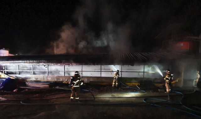 ▲ 6일 오전 5시 27분쯤 세종시 전의면 한 돈사에서 화재가 발생해 소방대원들이 진화작업을 하고 있다.ⓒ세종소방본부