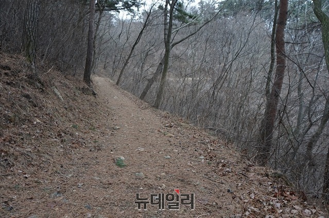 ▲ 수려한 풍광과 함께 솔향기가 그윽한 보령 삽시도 둘레길.ⓒ김정원 기자