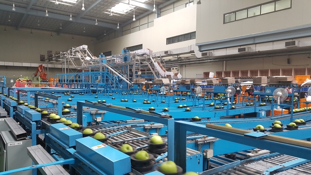 ▲ 경북도는 농산물 유통경쟁력 향상을 위해 올해 18개 사업에 468억원을 투입해 유통효율화에 나선다.ⓒ경북도