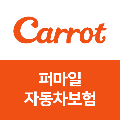 ▲ ⓒ캐롯손해보험