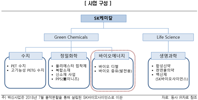 ▲ SK케미칼 사업 구성. ⓒ한국신용평가