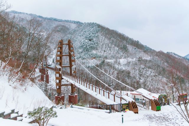 ▲ 충북 증평군 좌구산 명상구름다리 설경.ⓒ증평군