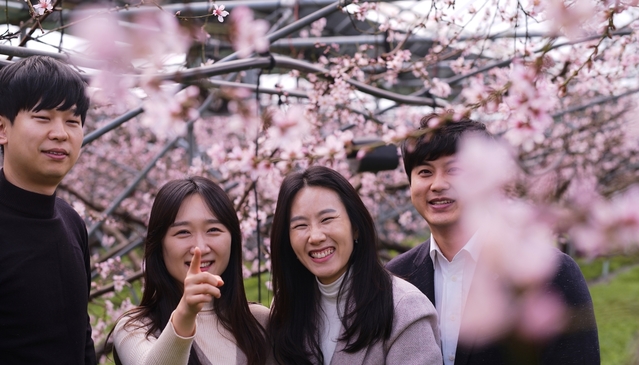▲ 청도군 이서면에 복사꽃이 피어 관광객들이 꽃구경을 하고 있다.ⓒ청도군