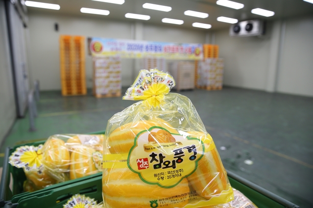 ▲ 성주참외가 최근 코로나19 확산 속에서도 해외 수출길에 올라 세계인의 입맛을 사로잡을 예정이다.ⓒ성주군