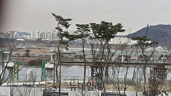 ▲ 24일 오후 세종시청 뒤편 금강 주변 전경.ⓒ김동식 기자