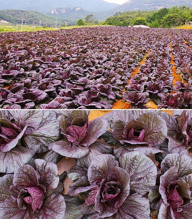 ▲ ⓒ이랜드리테일