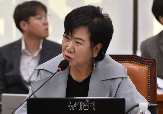 ▲ 손혜원 무소속 의원. ⓒ뉴데일리DB