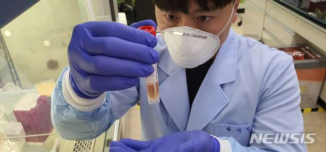 ▲ 우한폐렴 바이러스 진단검사를 하는 경북보건환경연구원 직원. 한국도 우한폐렴 백신 개발에 착수했다. ⓒ뉴시스. 무단전재 및 재배포 금지.