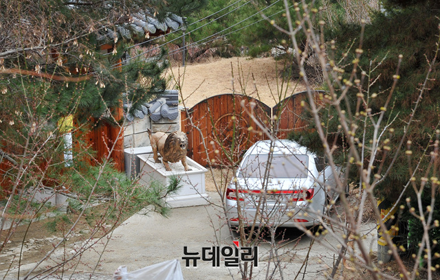 ▲ 별장 입구에 있는 사자상.