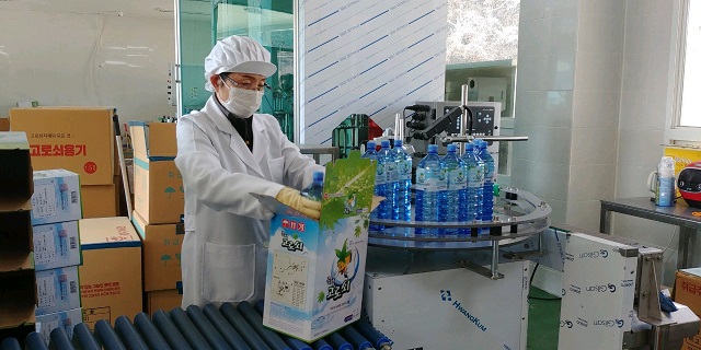 ▲ 고로쇠 정제공장에서 정제된 고로쇠수액을 포장하고 있다.ⓒ포항시