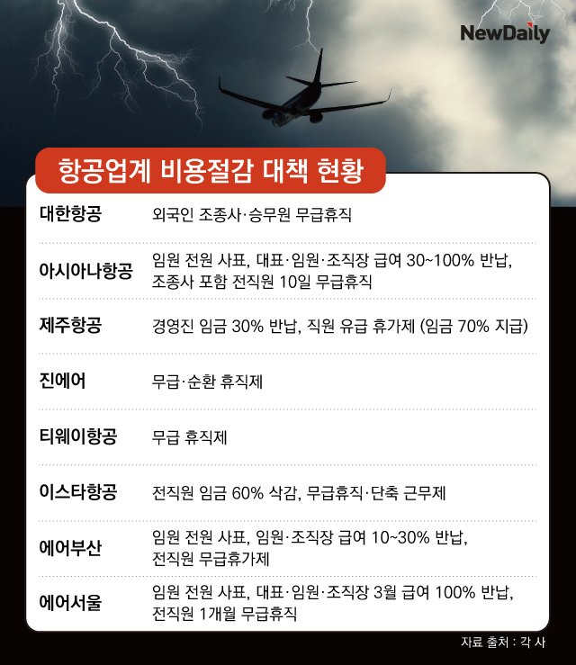 ▲ 항공사 비용절감 대책 현황 ⓒ 김수정 그래픽기자