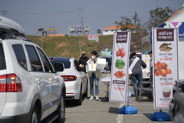 ▲ 영덕군과 강구수산업협동조합이 주최·주관한 이번 행사에서 이틀 동안 판매한 물량은 광어회 1kg세트 300개, 멍게회 2kg세트 300개, 멍게양념무침 100개, 농산물 꾸러미세트 110개로 판매금액은 1110만원이다.ⓒ영덕군