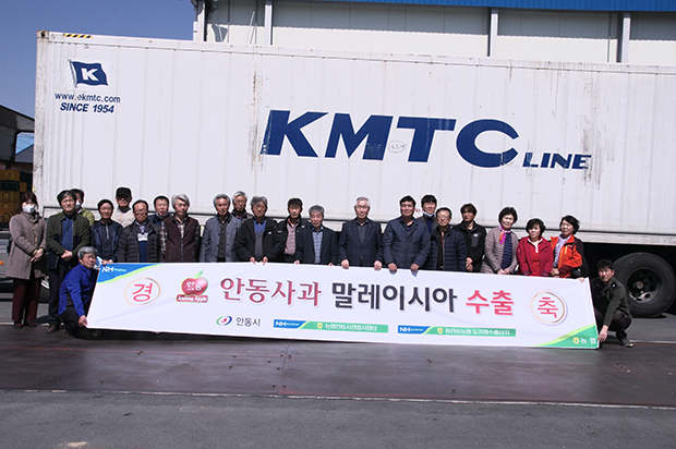 ▲ 동안동농협응 안동사과를 말레이시아로 79톤을 수출했다.ⓒ안동시
