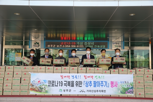 ▲ 성주군(군수 이병환)은 코로나19로 어려운 관내 상추 재배 농가 지원을 위해 상추 팔아주기 운동을 실시한다.ⓒ성주군