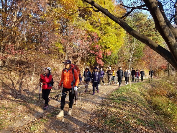 ▲ 미동산 수목원 임도길인 해아람길 산행에 나선 등산객들.ⓒ충북산림환경연구소