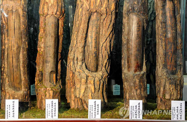 ▲ 북한이 백두혈통 선전을 위해 만들어낸 '구호나무'를 처음 찾았다고 한 곳이 개마고원 연화산이다. ⓒ연합뉴스. 무단전재 및 재배포 금지.