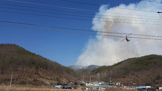 ▲ 안동시는 산불실화자 전원에 대해 형사입건 처리 방침을 밝혔다.ⓒ안동시