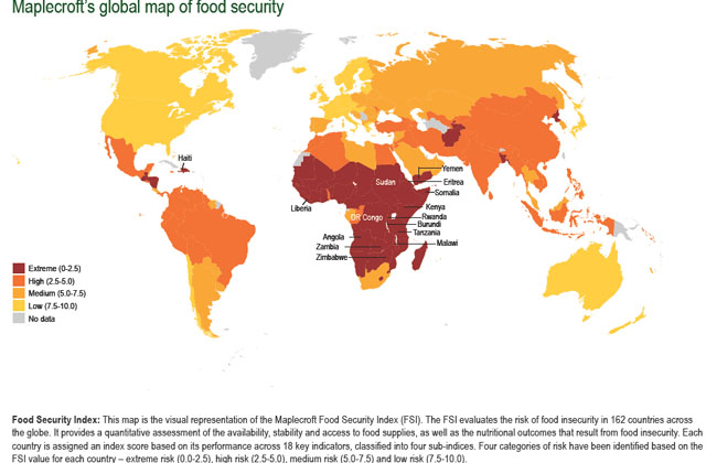 ▲ 세계 식량안보지수 지도. 한국과 중국의 지수는 최고등급은 아니다. ⓒ네이플크로프트 닷컴 제작-넥스트빅픽쳐 닷컴 화면캡쳐.