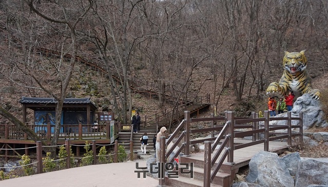 ▲ 천장호 출렁다리 건너편에 세워진 호랑이상.ⓒ김정원 기자