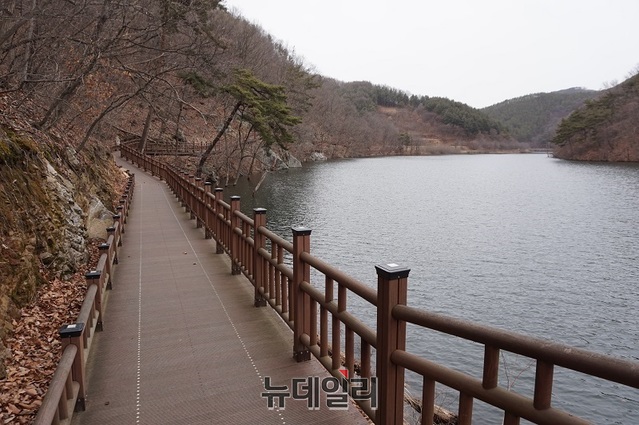 ▲ 천장호 둘레길 데크길이 칠갑산 산자락과 호숫가에 아름답게 조성돼 있다.ⓒ김정원 기자