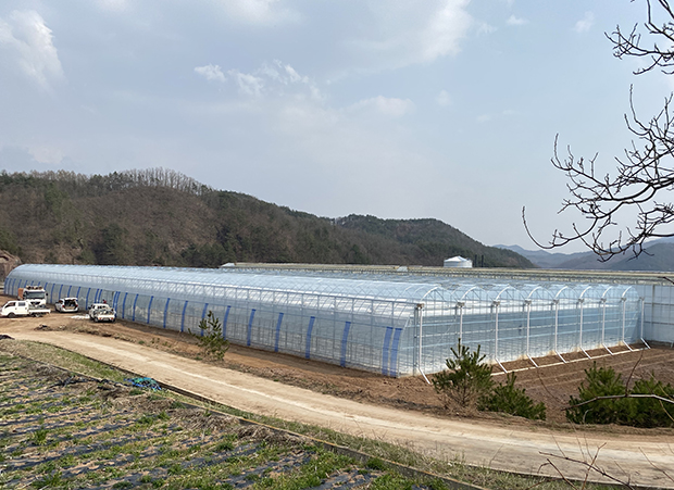 ▲ 영양군은 일월면 가곡리 335번지 일원에 조성한 스마트팜 온실 2동을 이달부터 운영에 들어간다.ⓒ영양군