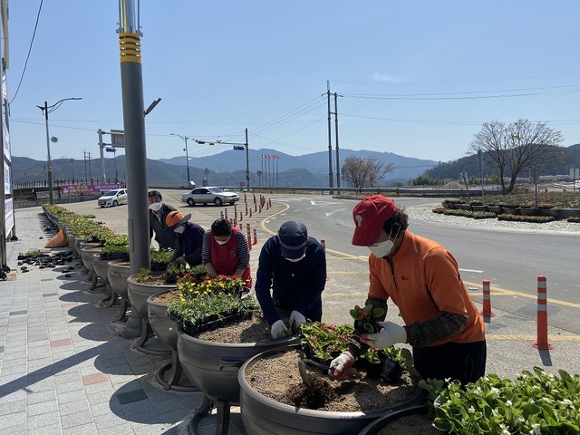 ▲ 성주읍(읍장 오익창)에서는 6일 별고을체육공원을 찾는 주민들과 내방객들에게 아름답고 쾌적한 환경을 제공하고자 대황교차로에  꽃밭을 조성했다.ⓒ성주군