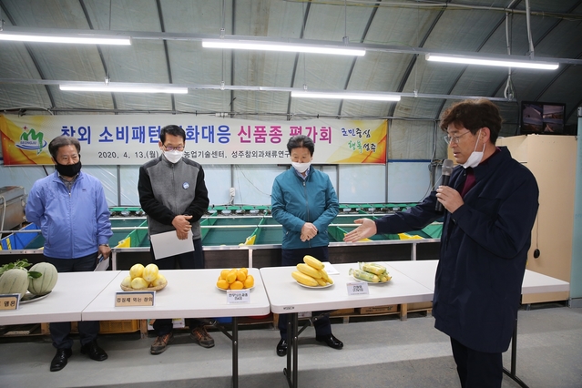 ▲ 성주군은 13일 껍질째 먹는 참외 평가회를 개최했다.ⓒ성주군