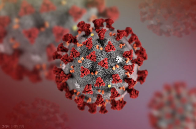 ▲ 우한코로나 바이러스 상상도. ⓒ그래픽 뉴시스. 무단전재 및 재배포 금지.