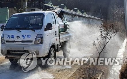 ▲ 가축방역.ⓒ연합뉴스