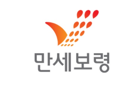 ▲ 보령시 로그.ⓒ보령시