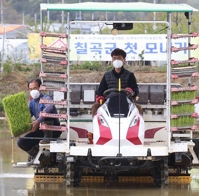 ▲ 칠곡군은 지난 20일 첫 모내기 작업으로 기산면 영리들에서 쌀 전업농인 김종기(70)씨가 논 1㏊에 조생종 황금 벼를 심었다.ⓒ칠곡군