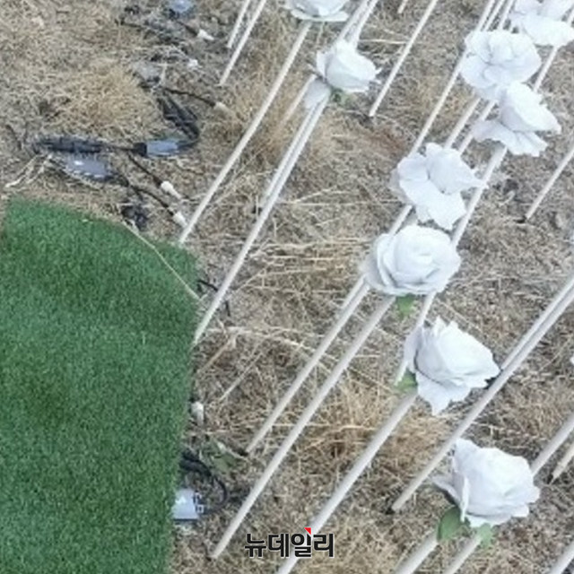 ▲ ⓒ성재용 기자