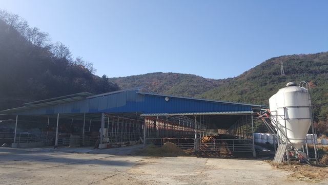 ▲ 청도군이 지난 2018년부터 현재까지 그 동안 추진해온 무허가 축사 적법화율이 90%를 웃도는 것으로 나타났다.ⓒ경북도